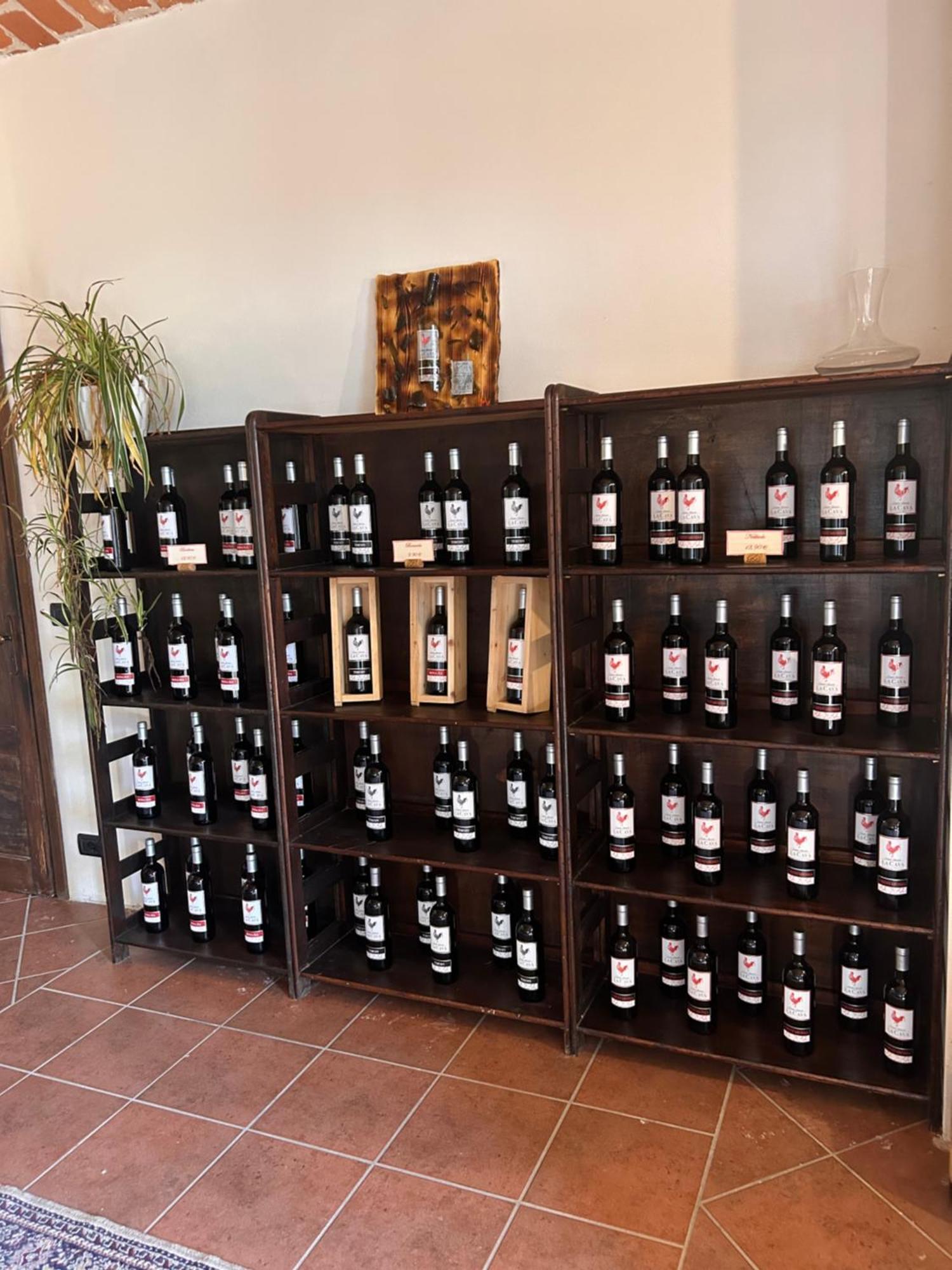 Tenuta Agricola La Cava- Cantina E Agriturismo San Damiano d'Asti Exterior photo