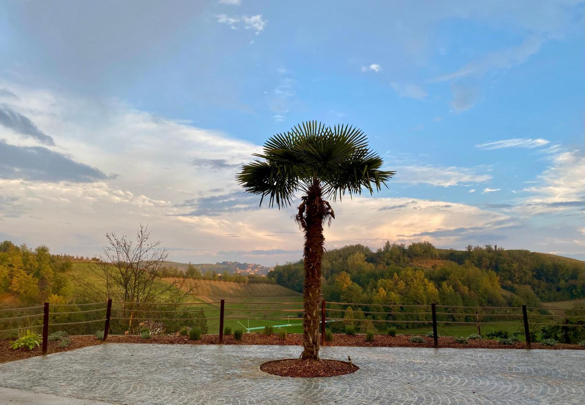 Tenuta Agricola La Cava- Cantina E Agriturismo San Damiano d'Asti Exterior photo